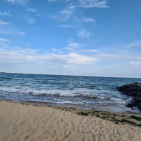 Apartment Studio With Balcony, 10m Away From See, In 4 Star Resort,